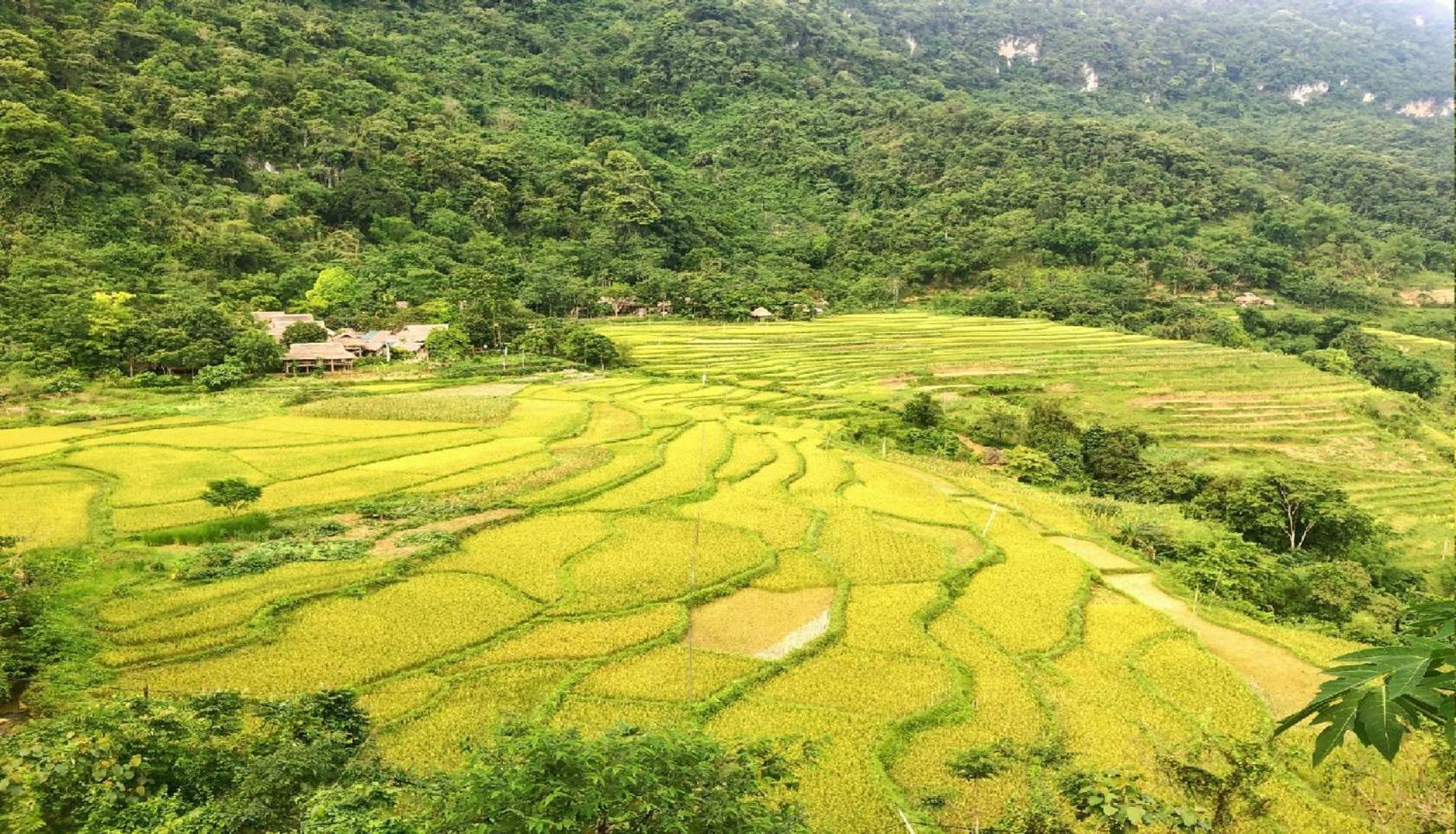 Pu Luong Homestay & Tours Huong Ba Thuoc Dış mekan fotoğraf