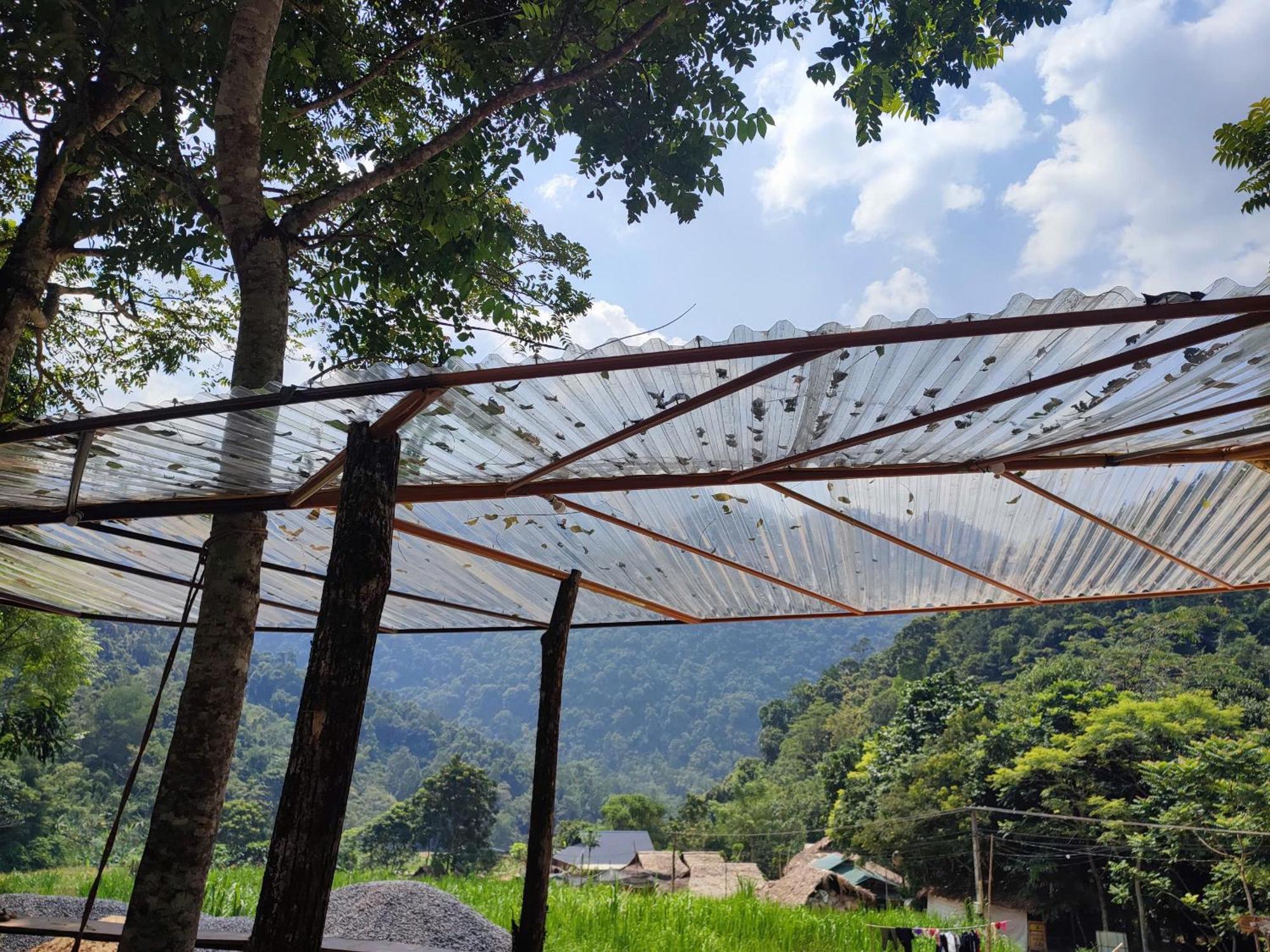 Pu Luong Homestay & Tours Huong Ba Thuoc Dış mekan fotoğraf